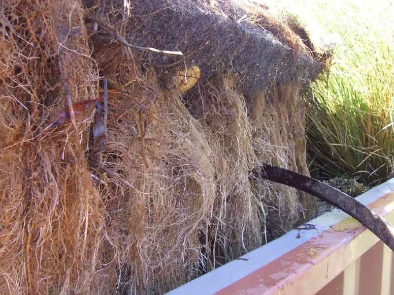 百奧源&reg;浮動(dòng)濕地根系發(fā)達(dá)，密度大大高于人工濕地